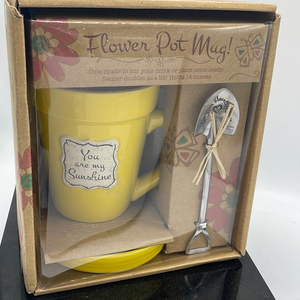 Divinity Boutique Flower Pot mug set NIB (IB-10)